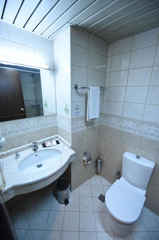 Asal Hotel - image 13