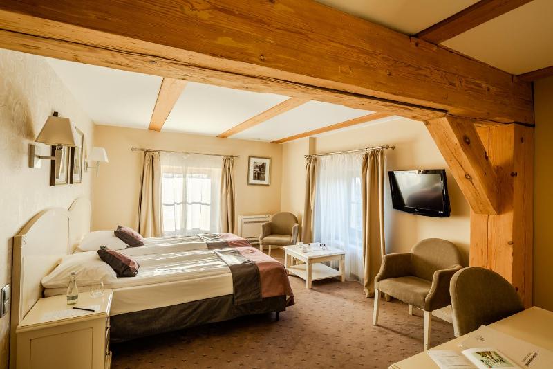 Standard Double or Twin Room in Spichlerz building image 3