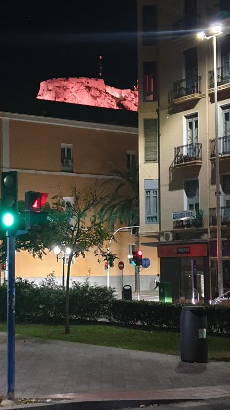 Alicante C41 - image 32