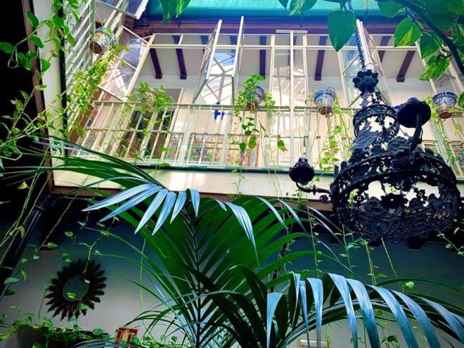 Hostal Lis - image 8