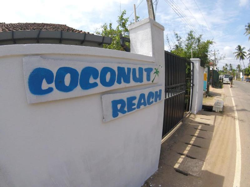 Coconut Reach - image 6