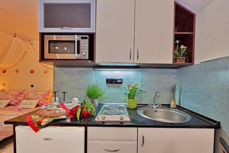 Deluxe Apartment image 2
