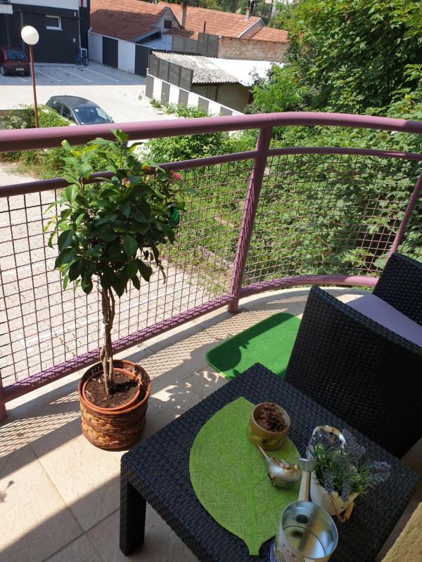 One-Bedroom Apartment image 2