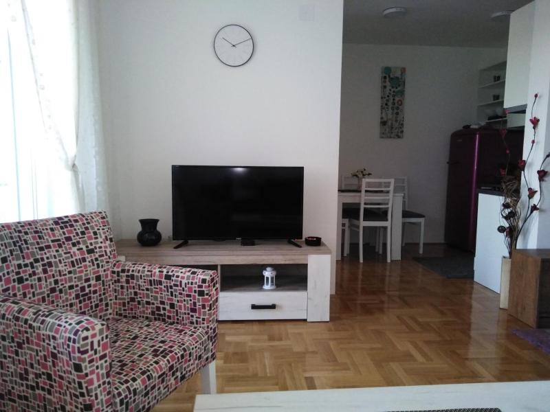 One-Bedroom Apartment image 3