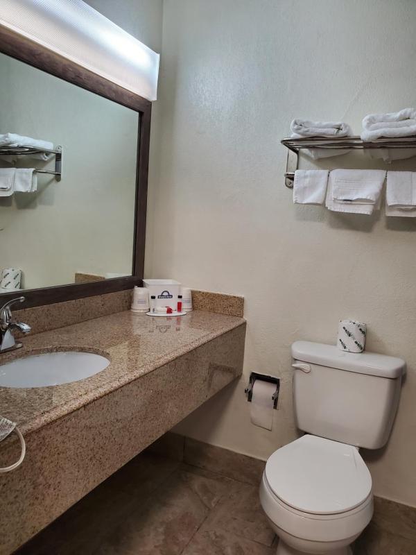 One-Bedroom King Suite - Non-Smoking image 2