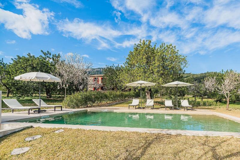 Deluxe Villa image 3
