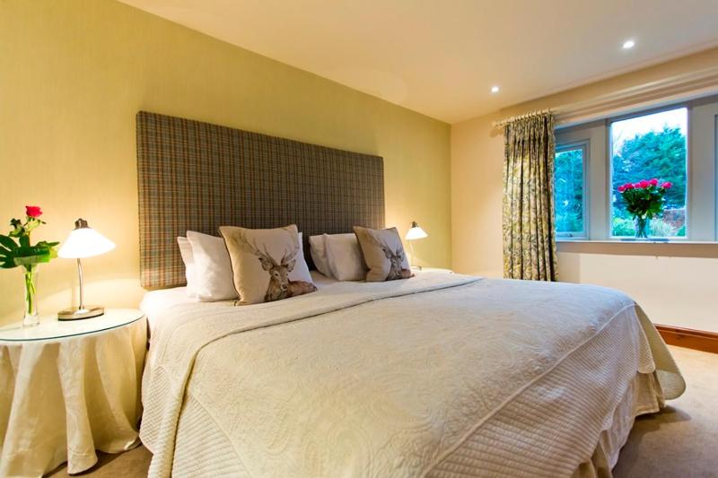 Suite image 3