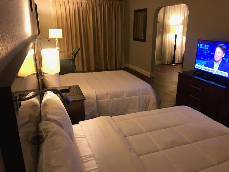 Deluxe Suite image 4