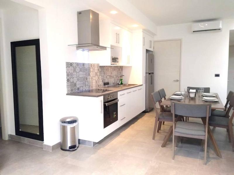 Private Roof w Plunge Pool Brand New 2 Br Penthouse for 6 sleeps - image 27