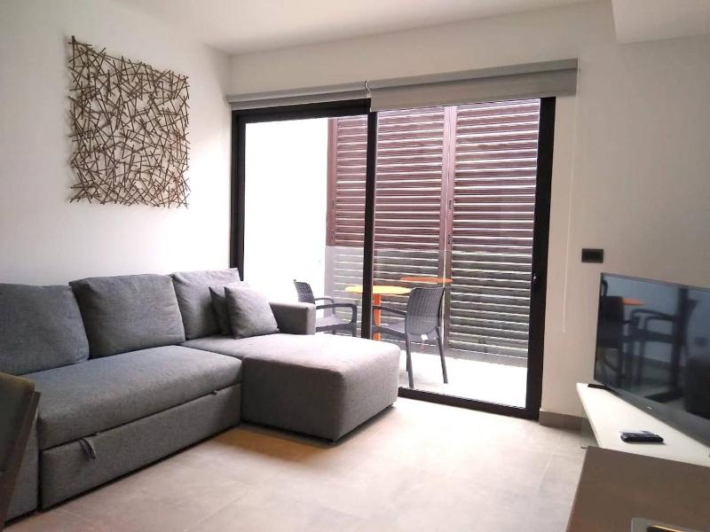 Private Roof w Plunge Pool Brand New 2 Br Penthouse for 6 sleeps - image 25