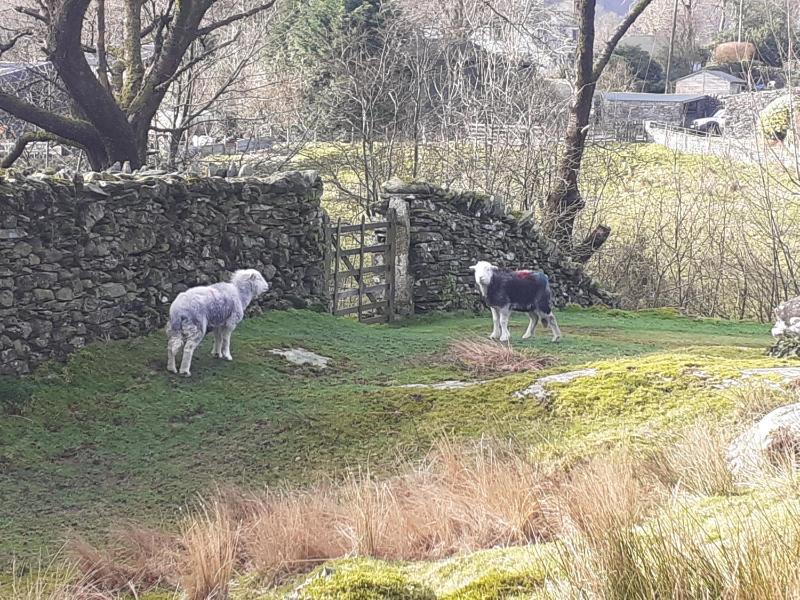 Classic Triple Room image 3