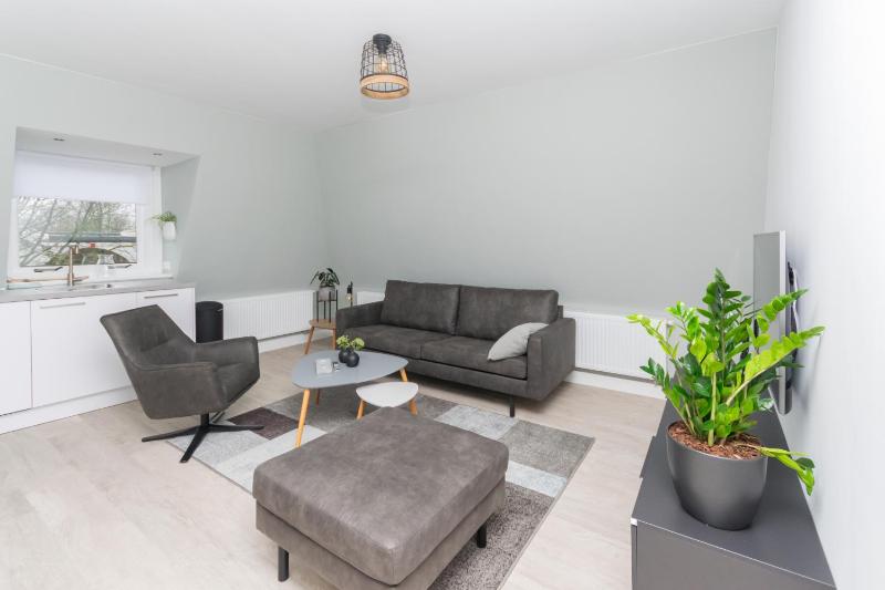 One-Bedroom Apartment image 3