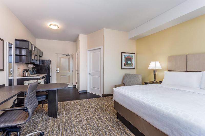 King Studio Suite image 2