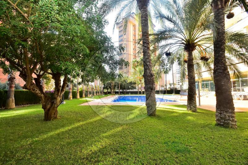 Apartamentos Paraíso Centro - BenidormParaíso - image 8