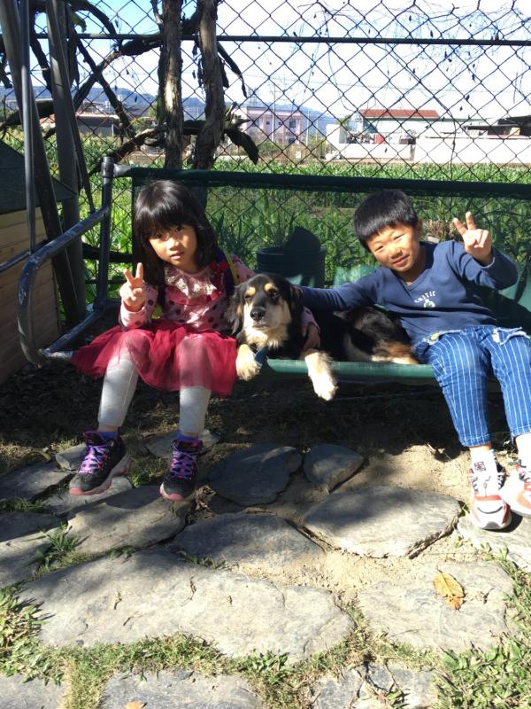Share B&B - image 6