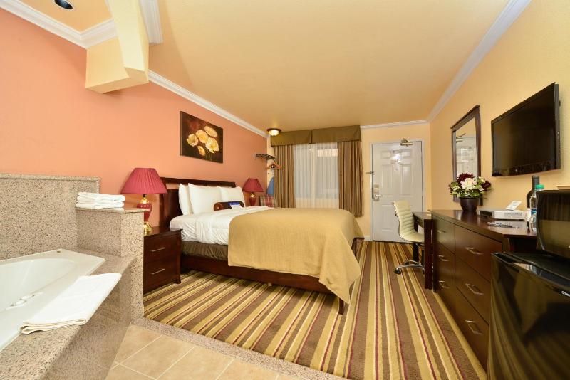 Non-Smoking One Bedroom Queen Jaccuzi Suite image 3