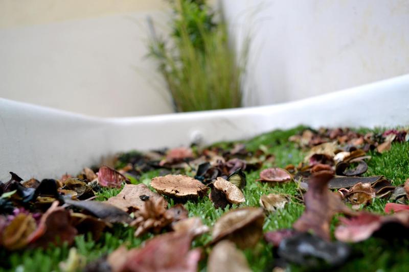 Double Room with Terrace image 4