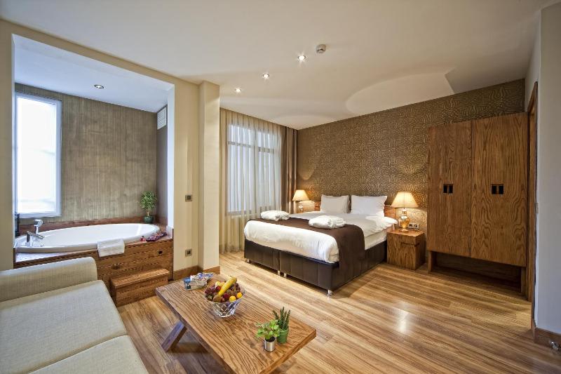 Triada Hotel Taksim - Special Category - image 2
