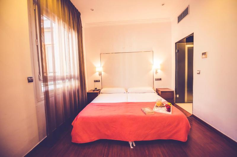 Double or Twin Room image 4