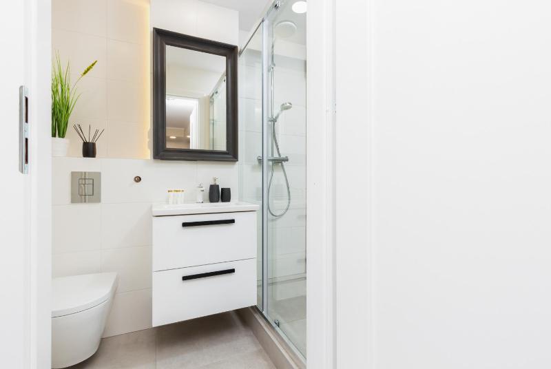 One-Bedroom Apartment image 4