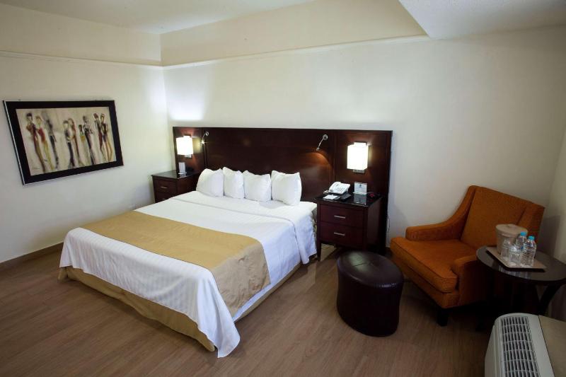 Best Western Centro Monterrey - image 38