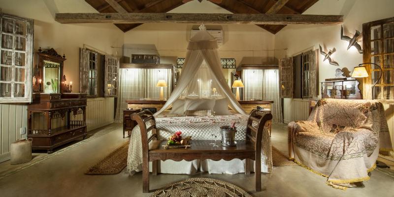 Toca da Coruja - Eco Luxury Retreat - image 19