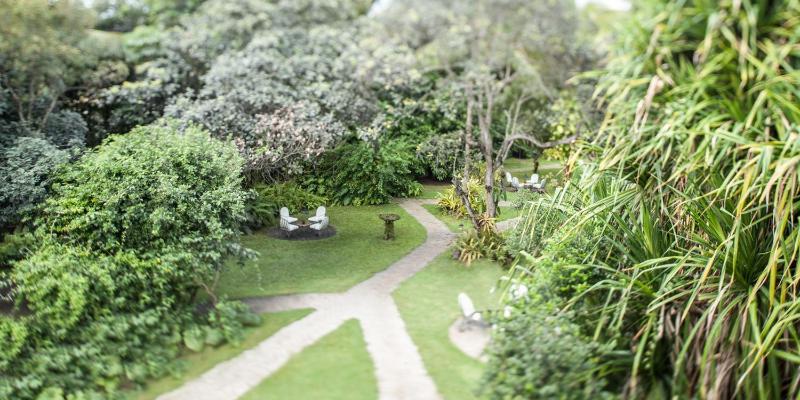 Toca da Coruja - Eco Luxury Retreat - image 11