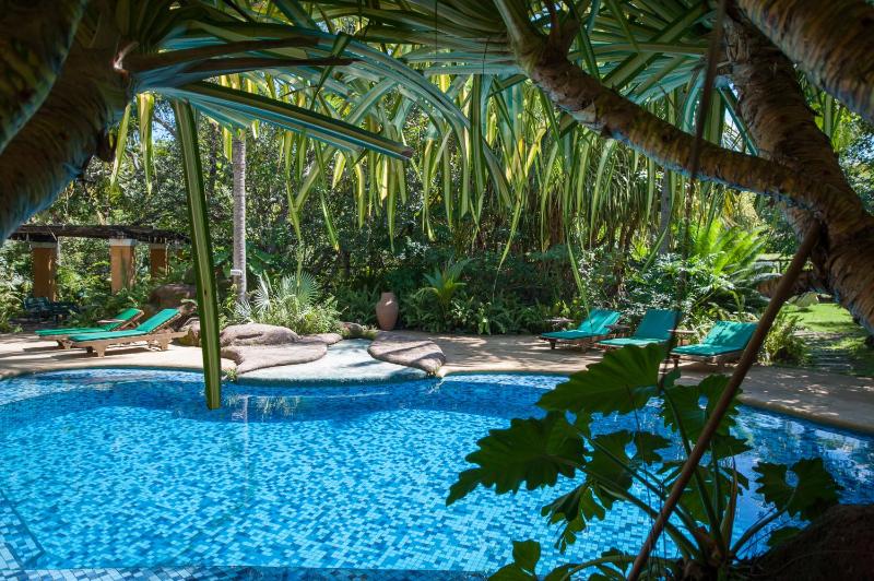 Toca da Coruja - Eco Luxury Retreat - image 32