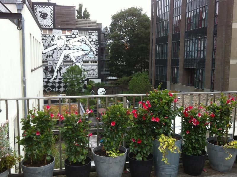 Prince On The Roof - image 14