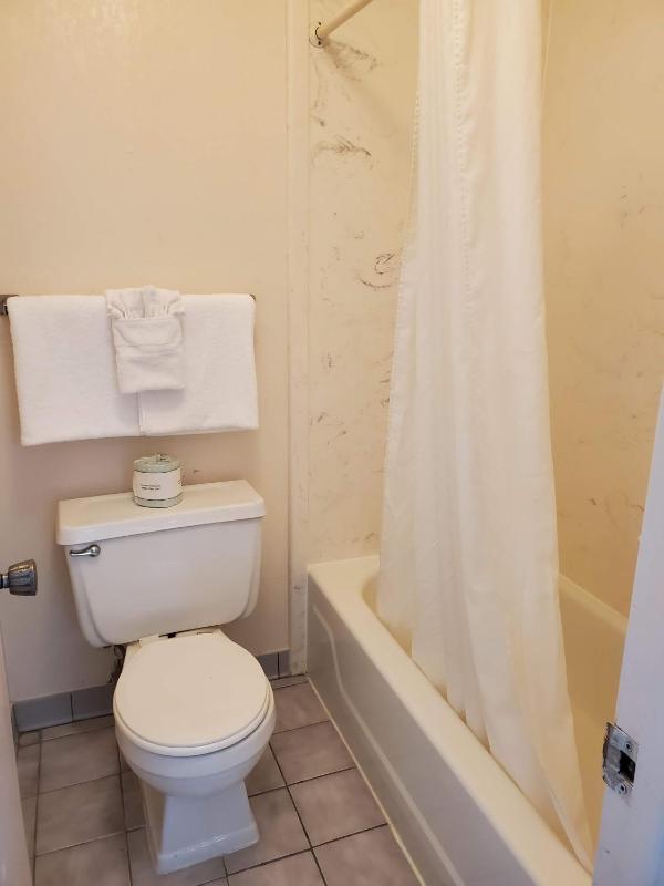 Double Room - Disability Access image 2