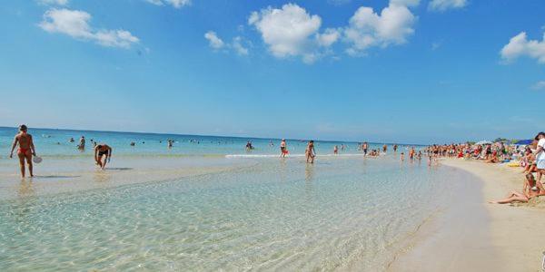 One-Bedroom Apartment image 3