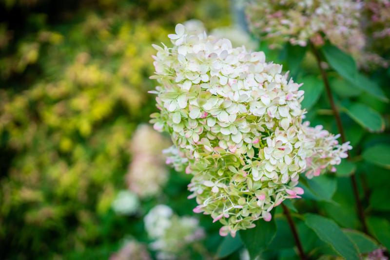Budget Twin Room with Private Entrance with Shared Kitchen image 3