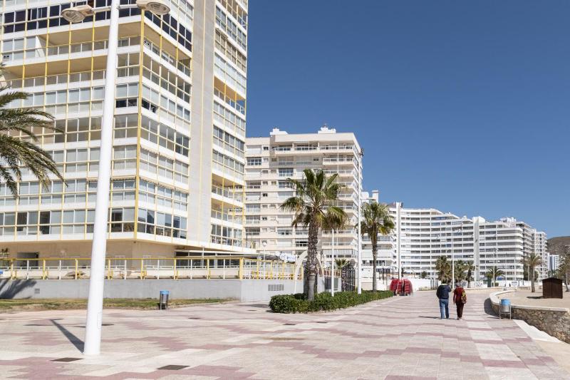 Florazar 3 8º-B - image 10