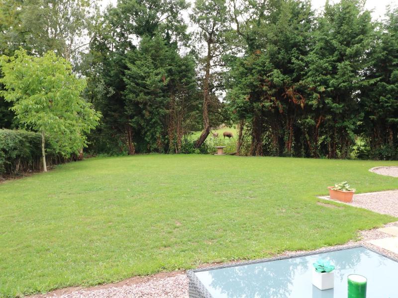 Well View Cottage - image 10