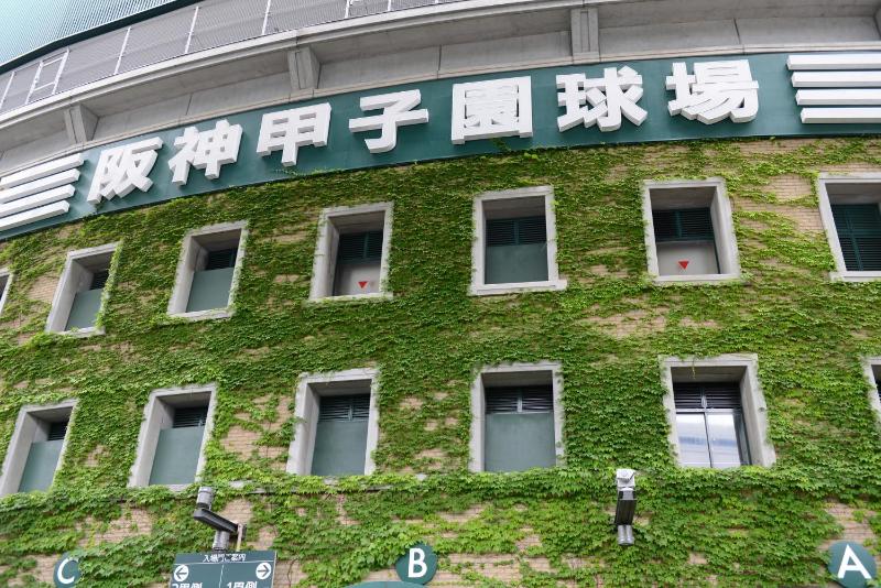 IKIDANE Residential Hotel SHIMANOUCHI - image 3