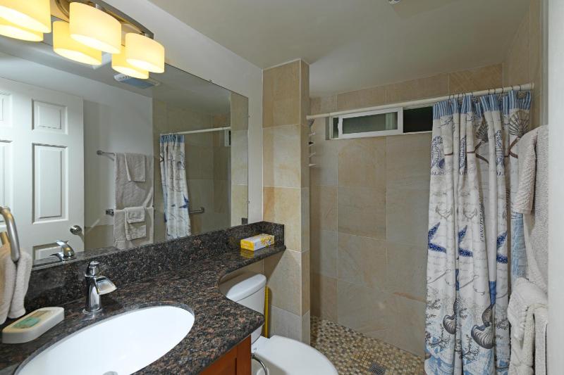 One-Bedroom House image 3