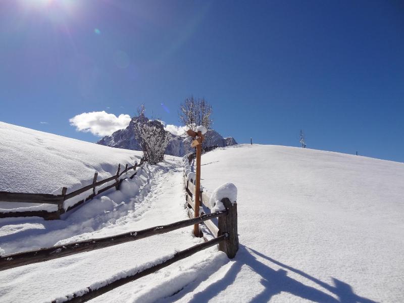 Family Suite image 1