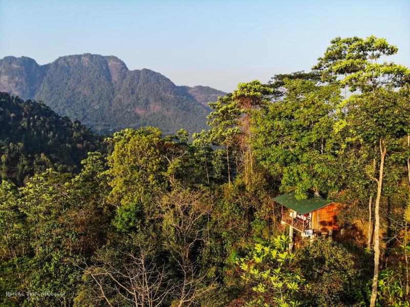 Tree Houses by Jungle River - image 11