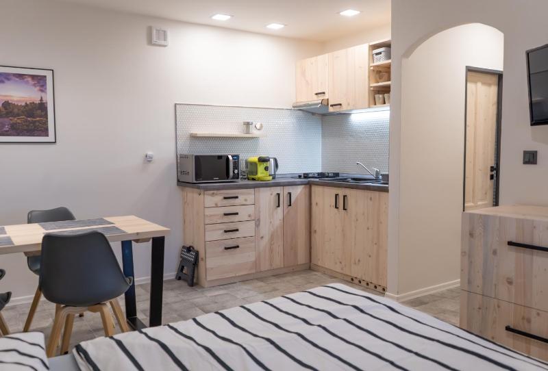 One-Bedroom Apartment image 3