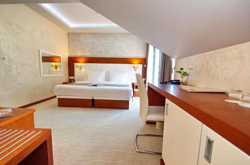 Standard Double or Twin Room image 4