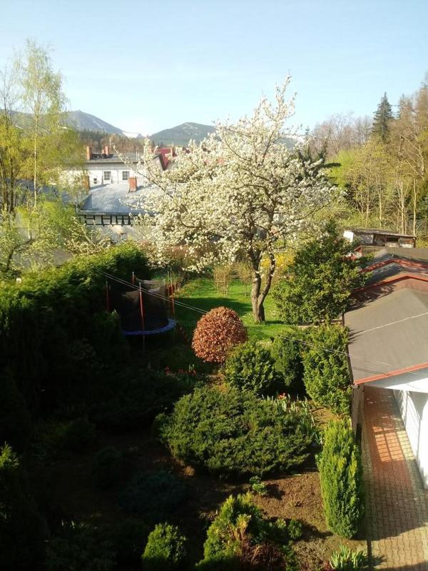 ApartamentVanessa - image 30