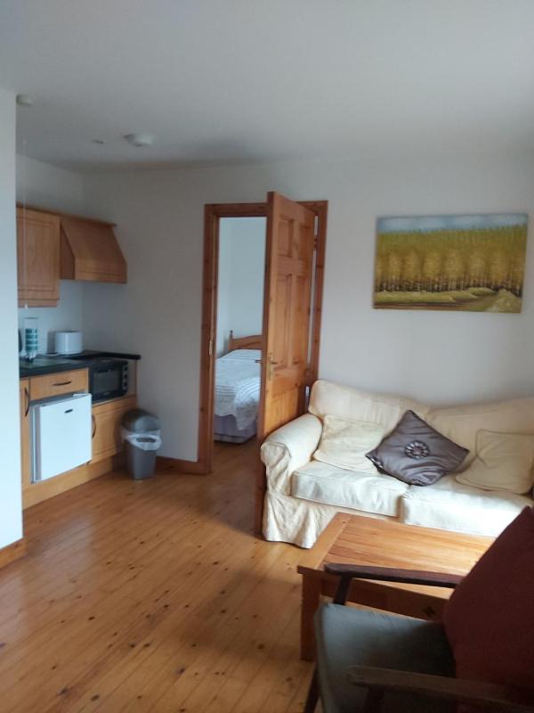 One-Bedroom Apartment image 3