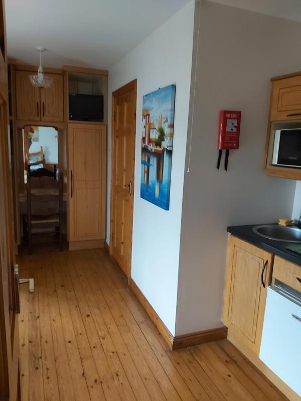 One-Bedroom Apartment image 4