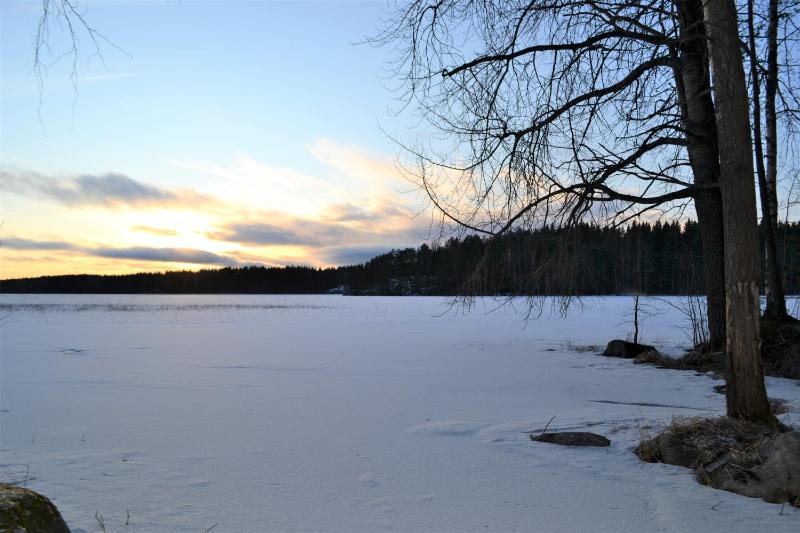 Superior Chalet image 2