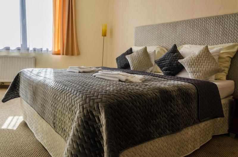 Hotel Rokoko Košice - free parking - image 16