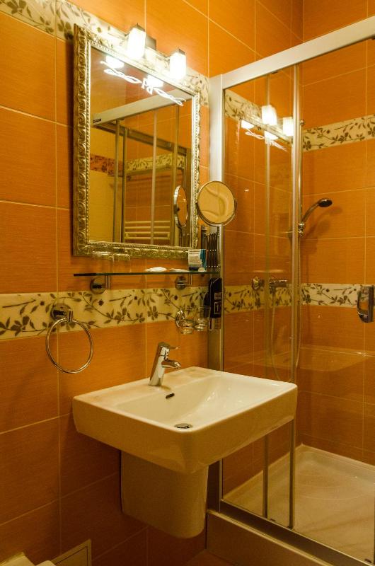 Hotel Rokoko Košice - free parking - image 36