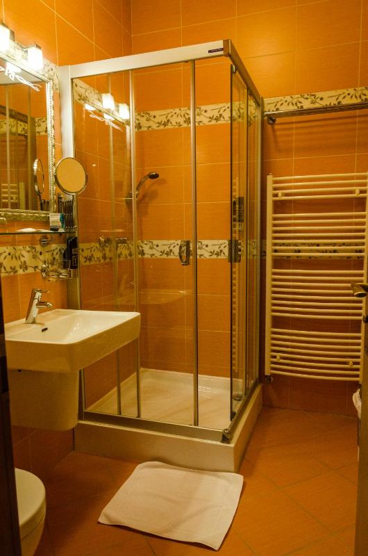 Hotel Rokoko Košice - free parking - image 24
