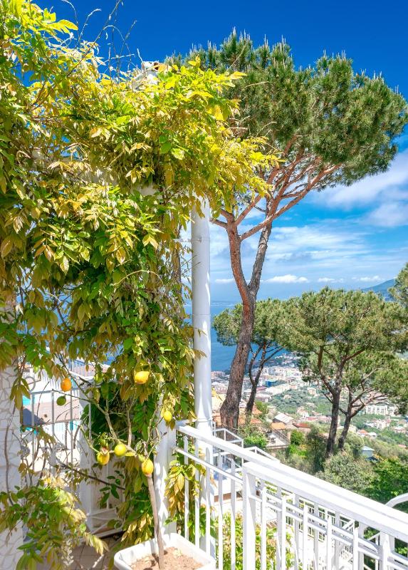 Residence Le Terrazze - image 6