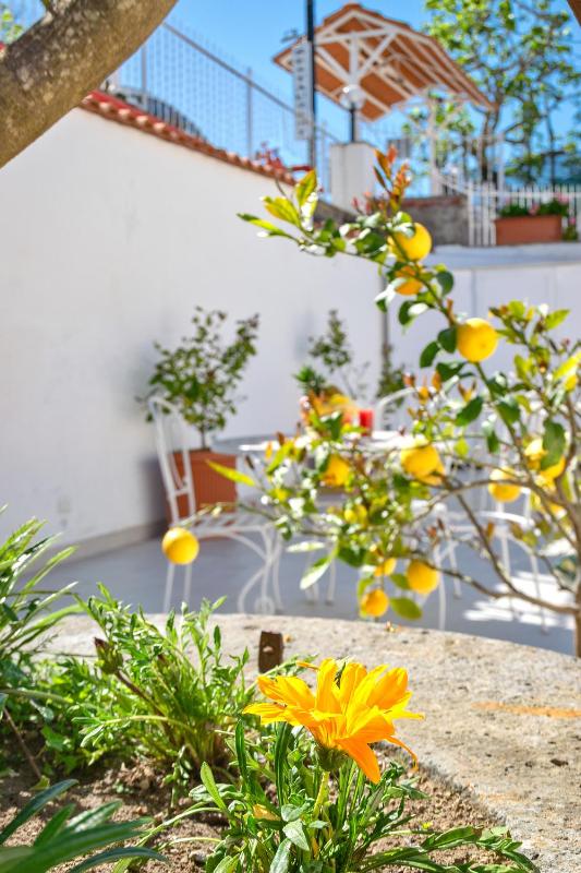 Residence Le Terrazze - image 31