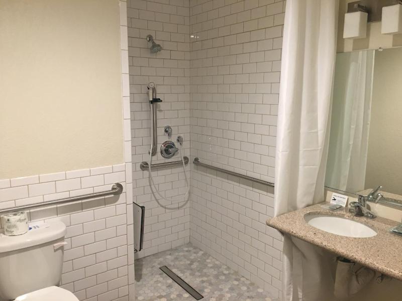 King Room - Disability Access Roll in Shower image 3